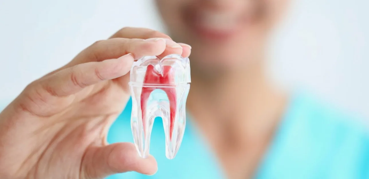 Featured image for “Can a Dentist Remove a Root Canal Tooth? Everything You Need to Know”